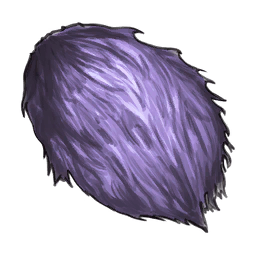 캐티메이지의 체모